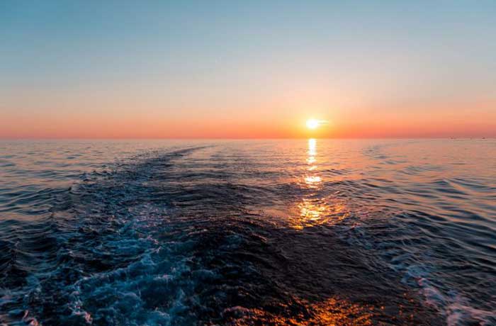 naples Florida Sunset Nature Cruise